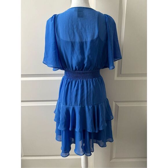 Taylor Chiffon Ruffle Dress - Picture 3 of 5